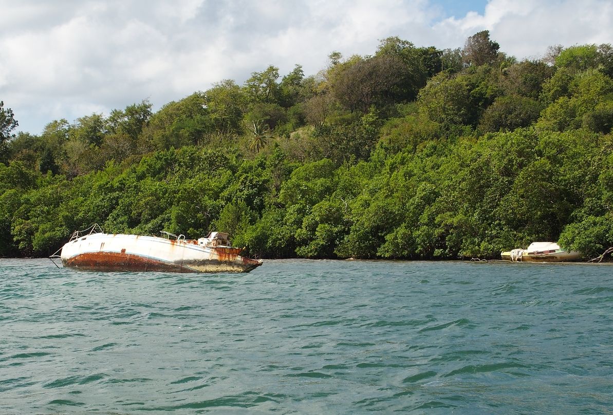 elsullyedt hajok Martinique